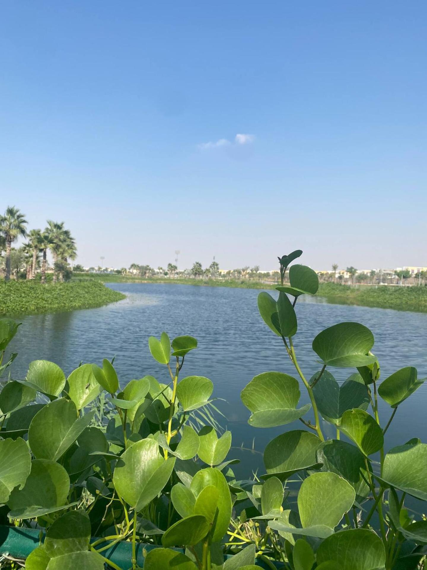 Victoria Damac Hills 2 Family Retreat With Waterpark And Petting Farm Villa *